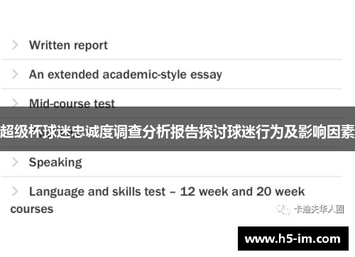 超级杯球迷忠诚度调查分析报告探讨球迷行为及影响因素