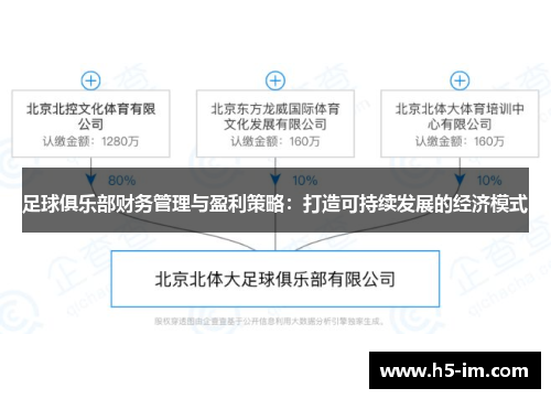 足球俱乐部财务管理与盈利策略：打造可持续发展的经济模式