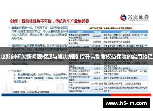 赵鹏剖析欠薪问题根源与解决策略 提升劳动者权益保障的实用路径