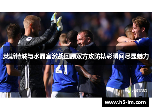 莱斯特城与水晶宫激战回顾双方攻防精彩瞬间尽显魅力
