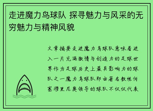 走进魔力鸟球队 探寻魅力与风采的无穷魅力与精神风貌