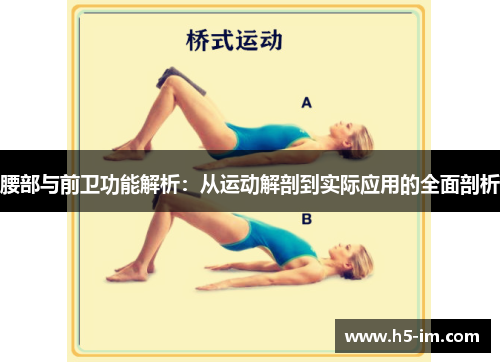 腰部与前卫功能解析：从运动解剖到实际应用的全面剖析